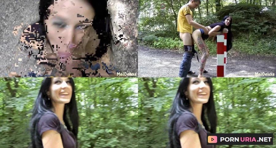 MeliDeluxe - Beim Grillfest vom Cousin gefickt [Full HD] 320.07 MB