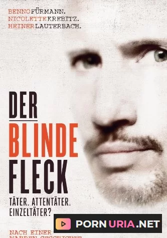 Der blinde Fleck (2013) [FullHD 1080p] 236.89 MB